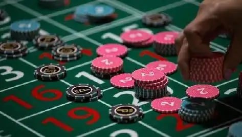 Bangladesh adult players exploring jungle-themed slot content on cv9997